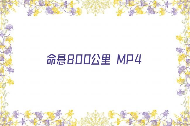 命悬800公里 MP4剧照